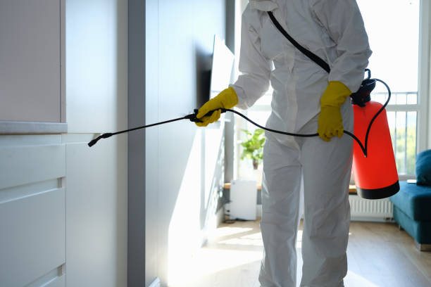 Best Kitchen Mold Remediation in Alamae, NC